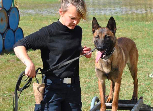 Bien plus qu’un élevage