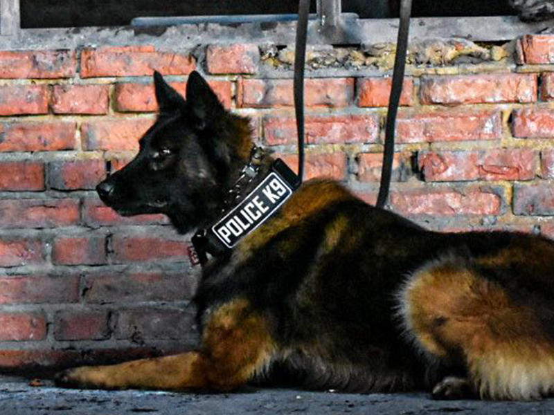 Vente de matériel professionnel